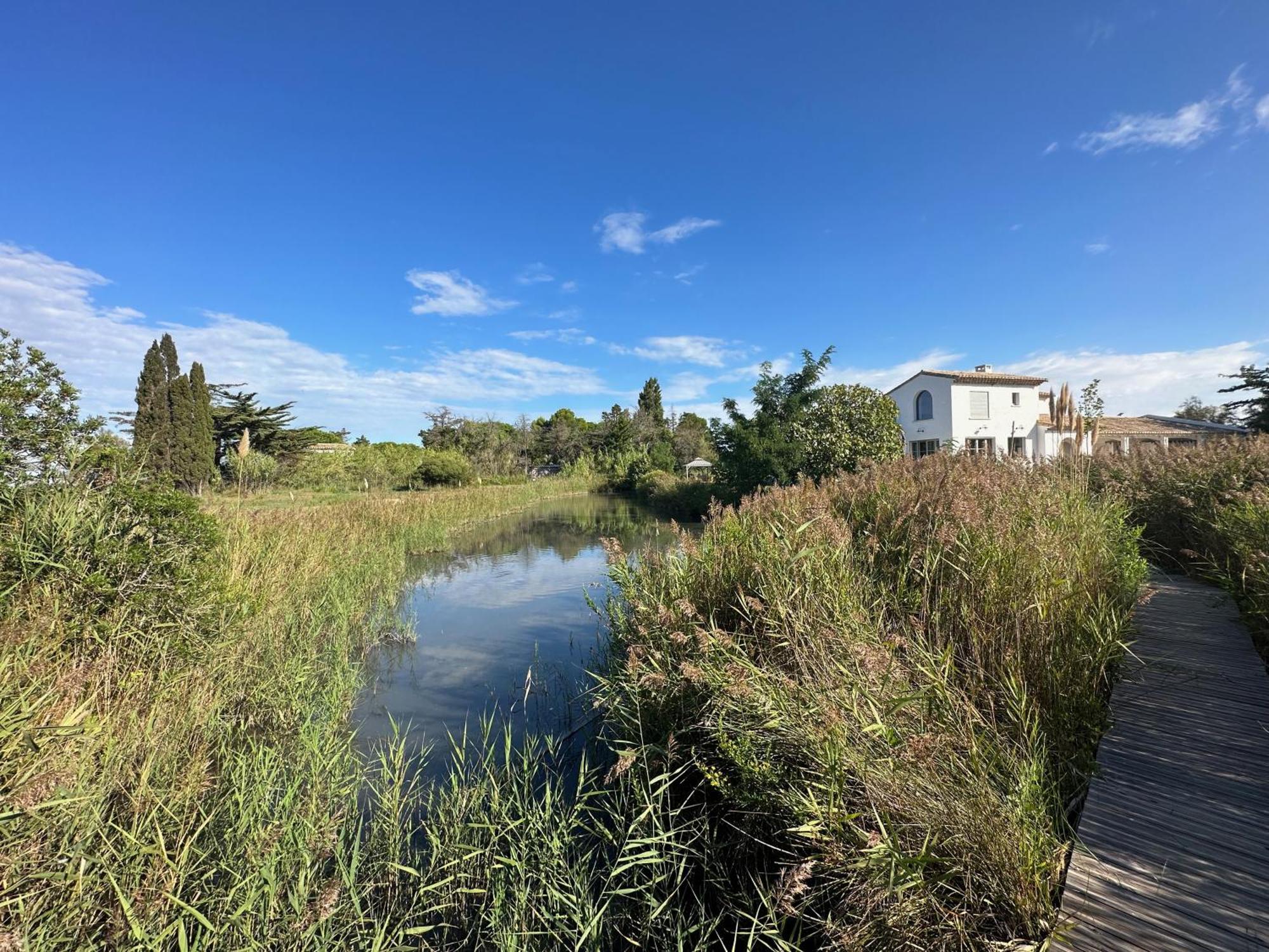 سانت ماري دو لا مير Mas Du Couvin, Maison D'Hotes En Camargue المظهر الخارجي الصورة