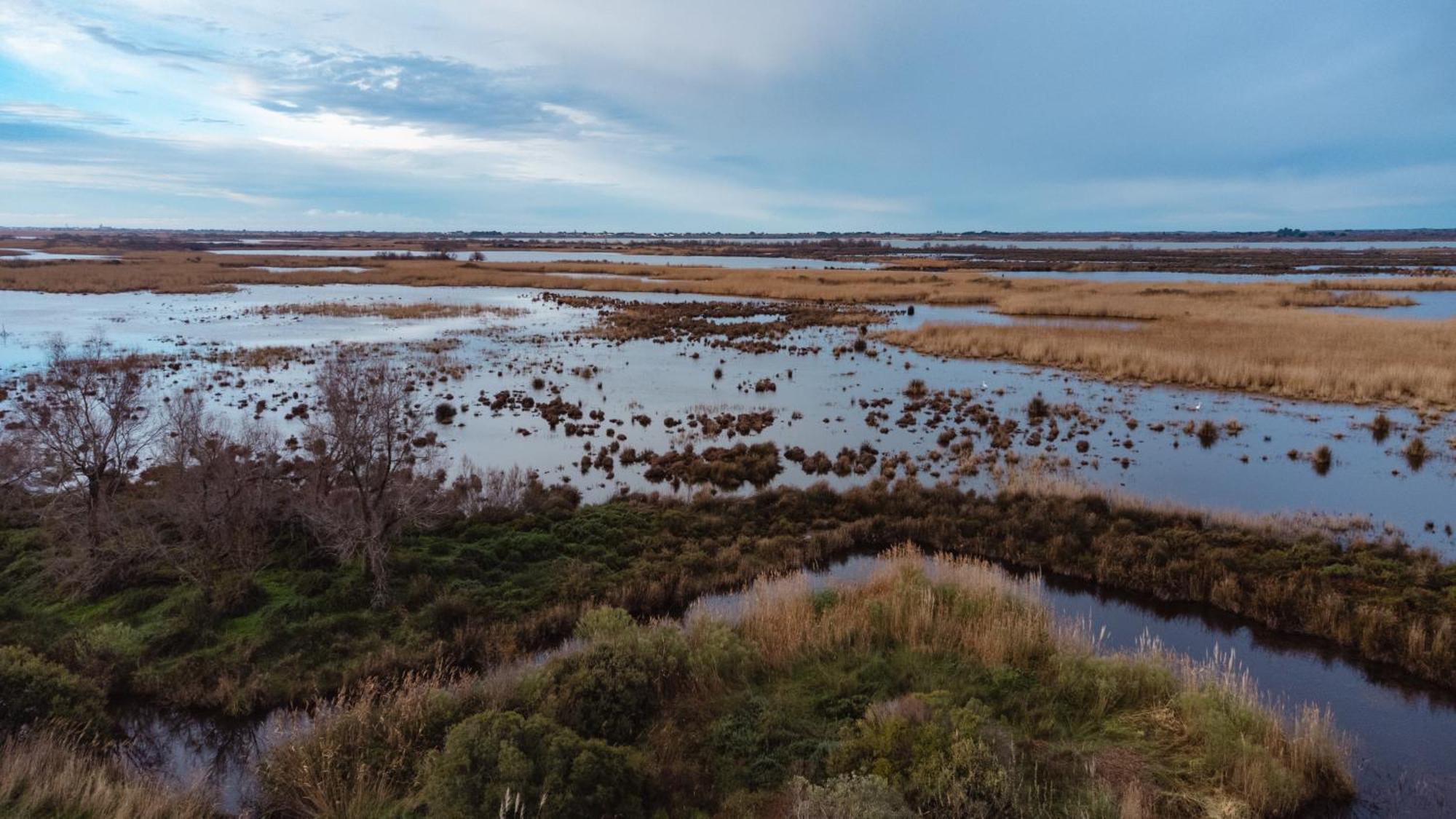 سانت ماري دو لا مير Mas Du Couvin, Maison D'Hotes En Camargue المظهر الخارجي الصورة