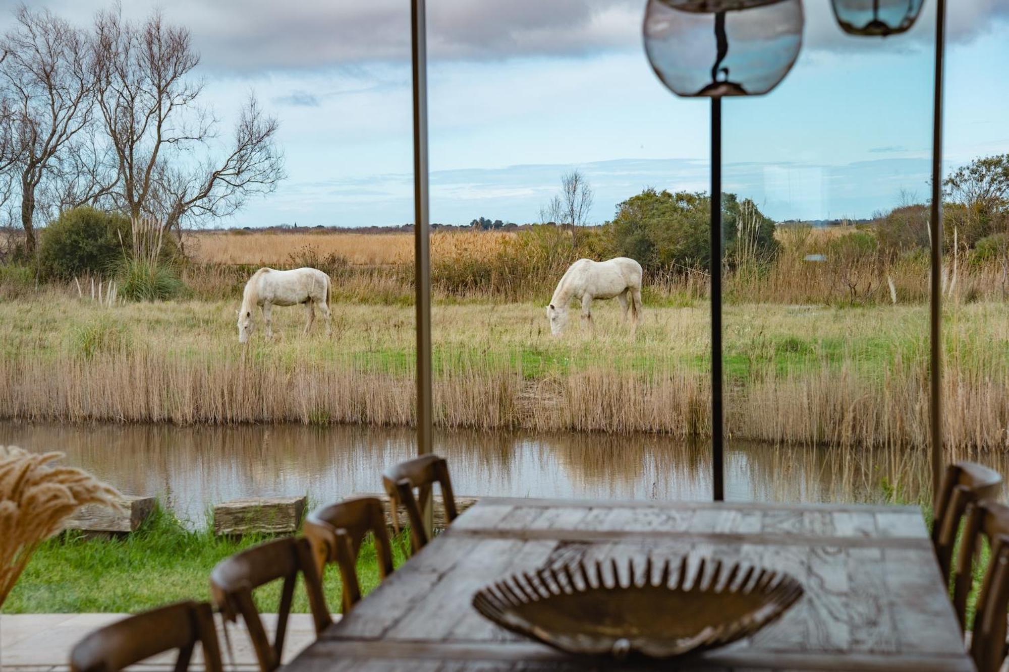 سانت ماري دو لا مير Mas Du Couvin, Maison D'Hotes En Camargue المظهر الخارجي الصورة